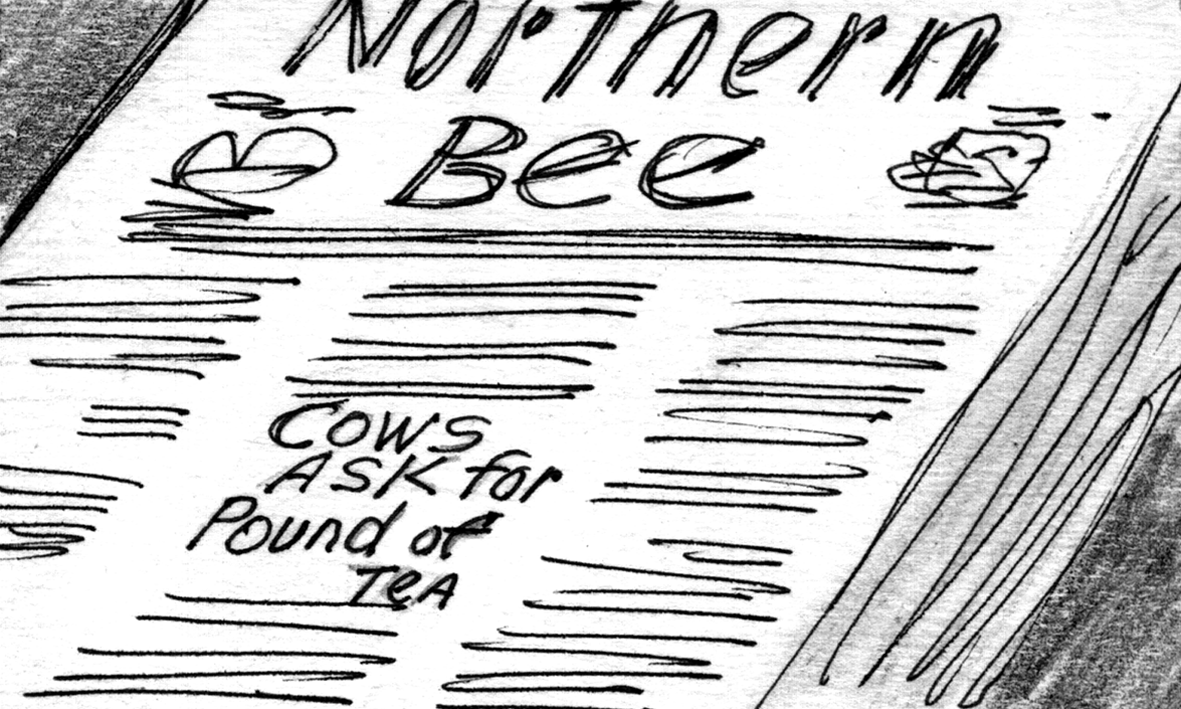 Close-up of headline