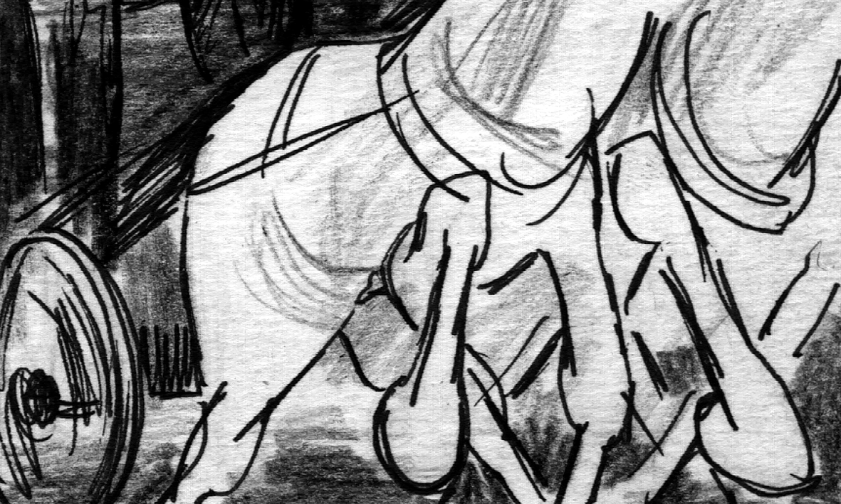 Horse drawn carriage charges