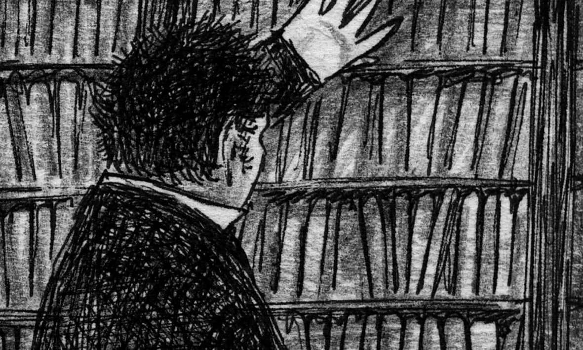 Poprishchin runs hands along books