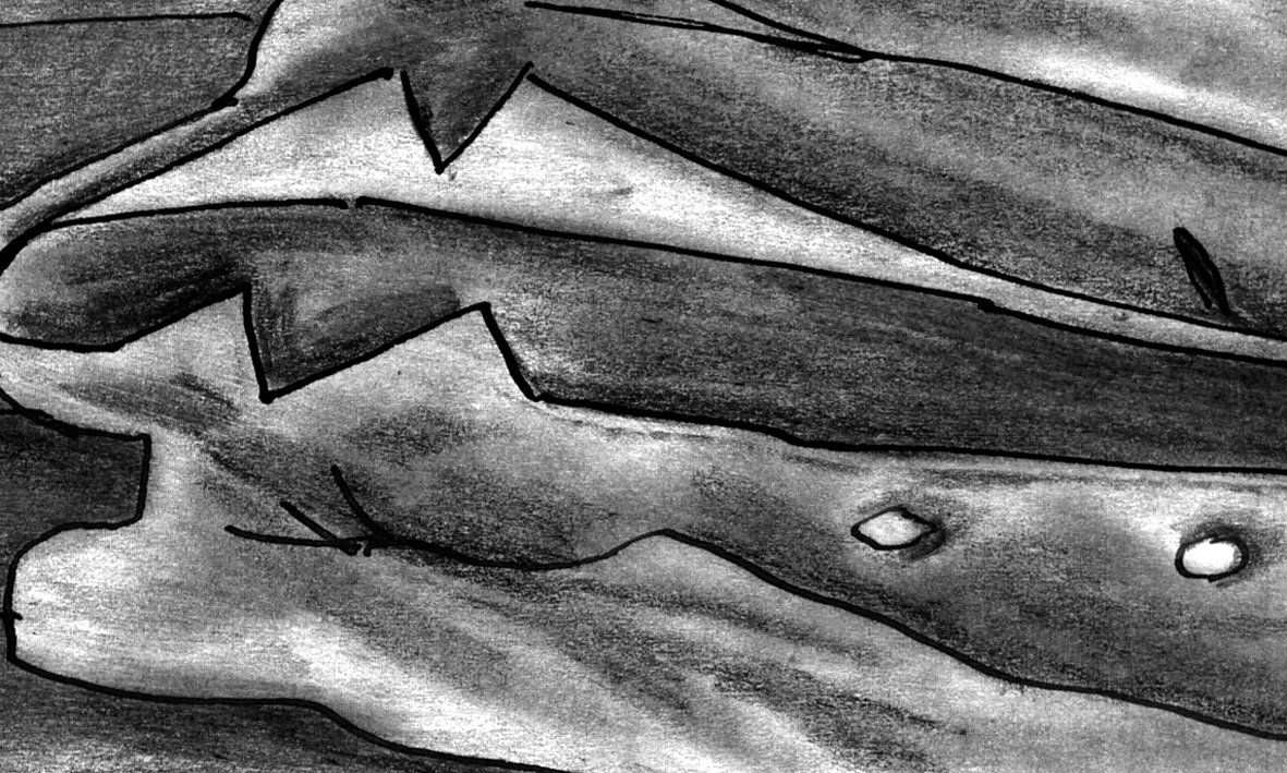 frame 17
