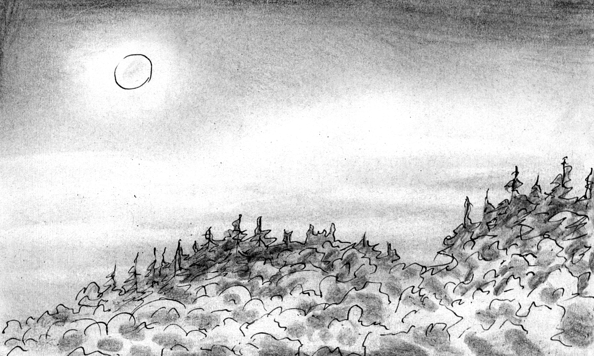 frame 14