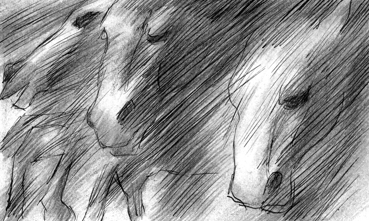 frame 8