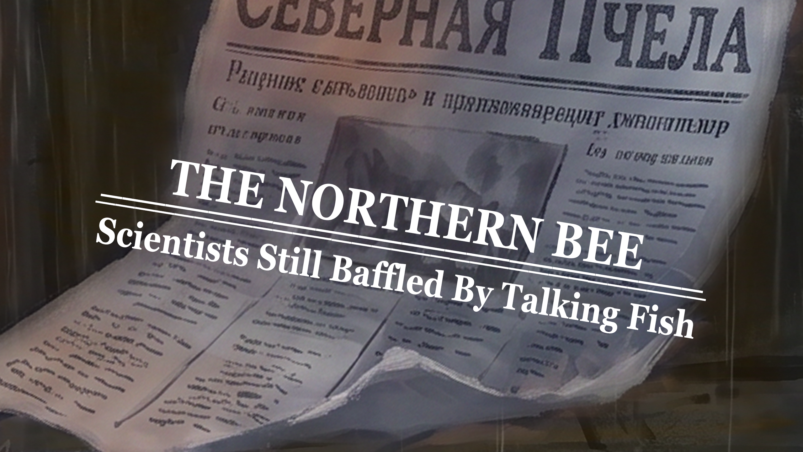 Newspaper close-up