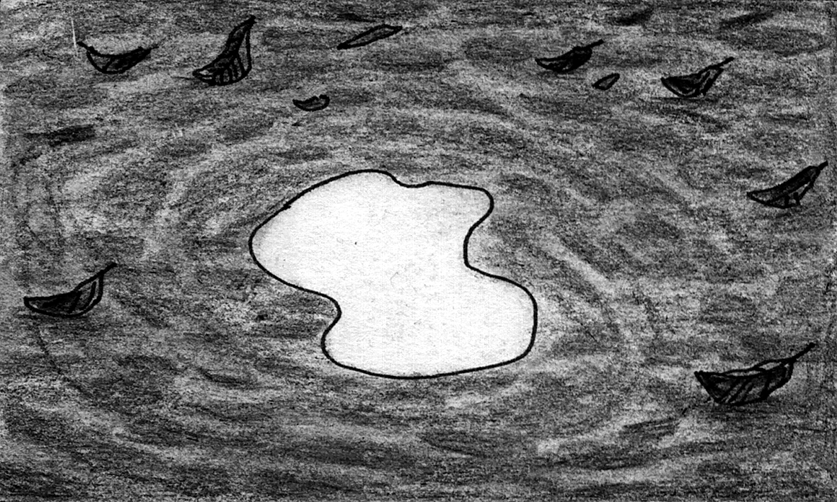 Leaves across moon reflection in puddle