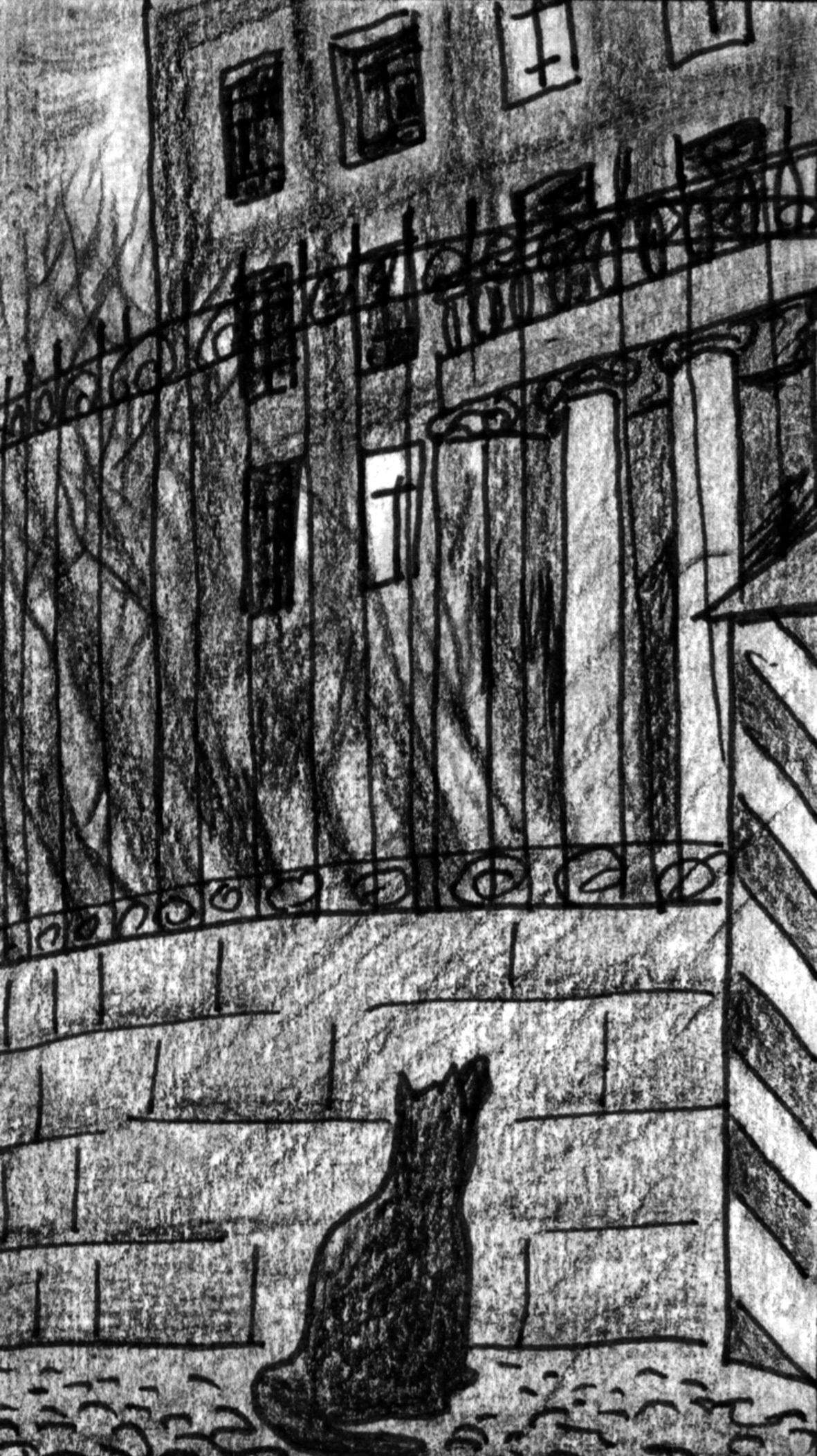 Mongrel at fence looking up at Director's House