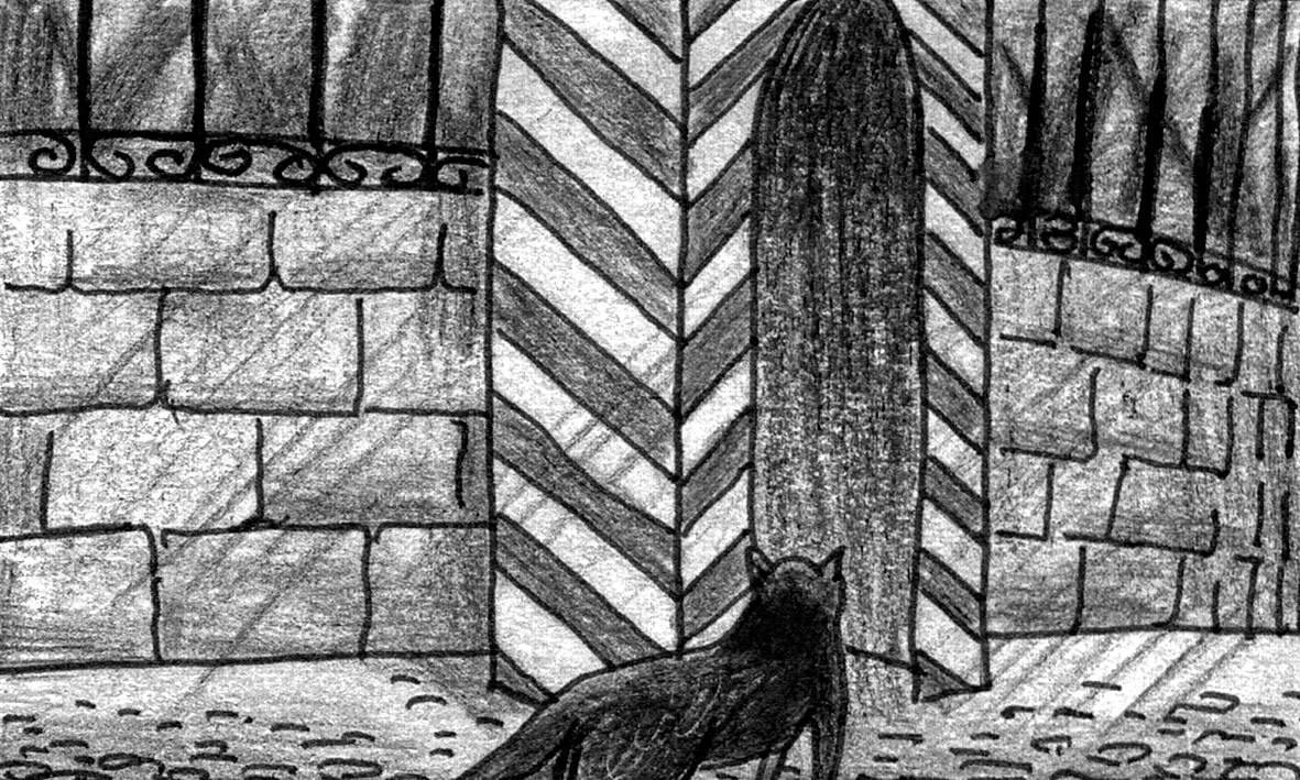 Mongrel seeks shelter in booth